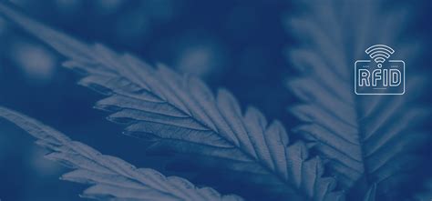 cannabis tracking rfid|RFID Technology In Cannabis .